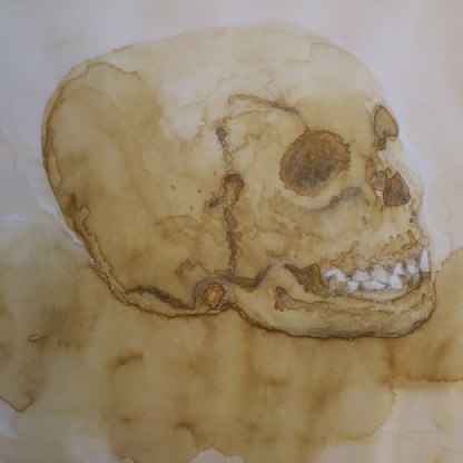 Cráneo - Café y toques de lápiz 32x24 cm.