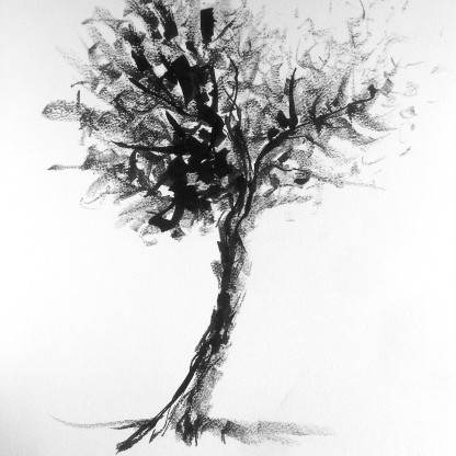 Apunte de árbol 02 - Tinta china 32x41 cm.